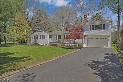 9 Neskell Dr, Basking Ridge, NJ 07920 photo 1