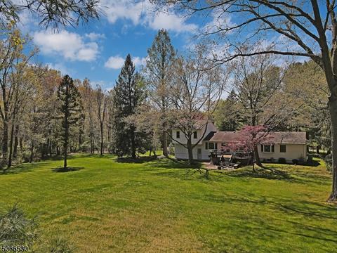 9 Neskell Dr, Basking Ridge, NJ 07920 photo 20