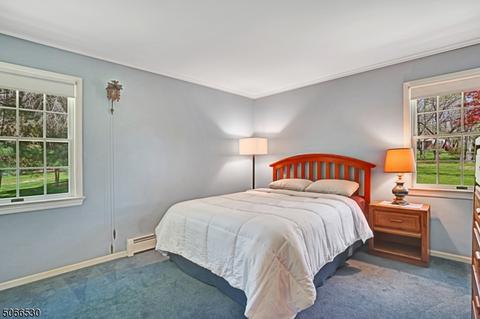 9 Neskell Dr, Basking Ridge, NJ 07920 photo 15