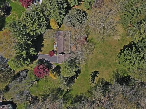 9 Neskell Dr, Basking Ridge, NJ 07920 photo 22