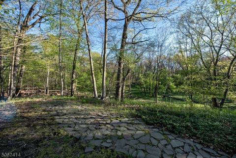 290 Skylark Ct, Paramus, NJ 07652 photo 18