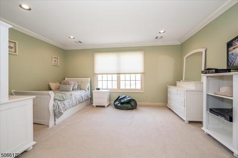 47 Eileen Dr, Cedar Grove, NJ 07009 photo 16