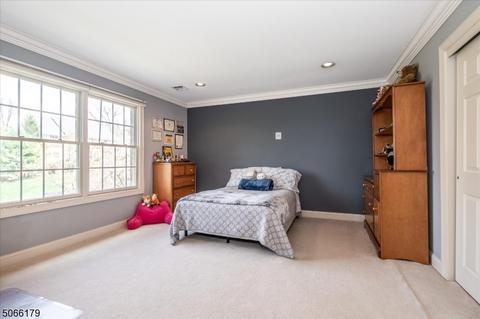 47 Eileen Dr, Cedar Grove, NJ 07009 photo 18