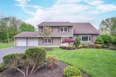 43 Overlook Ave, Wayne, NJ 07470 photo 1
