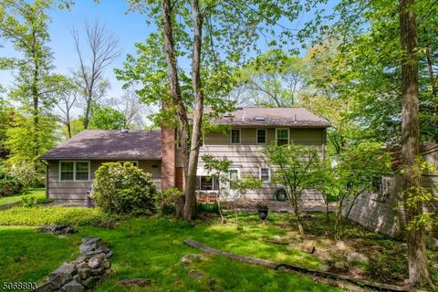 47 Sloping Hill Ter, Wayne, NJ 07470 photo 24
