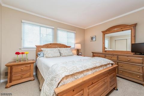 27 Stevens Ct, Bedminster, NJ 07921 photo 17