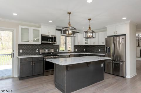 99 Catswamp Rd, Hackettstown, NJ 07840 photo 2