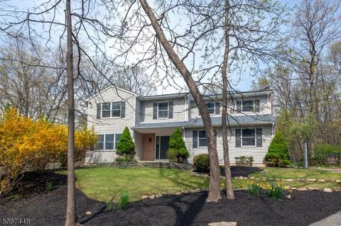 99 Catswamp Rd, Hackettstown, NJ 07840 photo 24