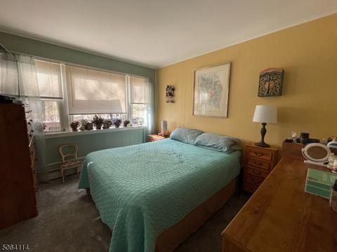 23 Gorge Dr, Haskell, NJ 07420 photo 14