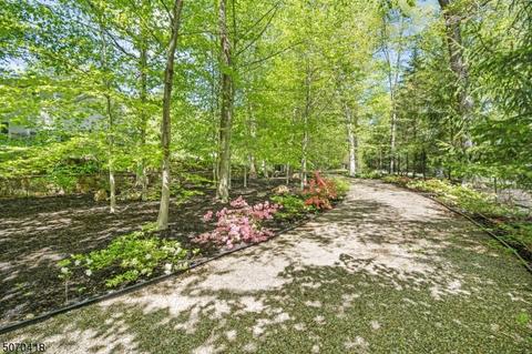 2 Beach Ln, Mendham, NJ 07945 photo 24