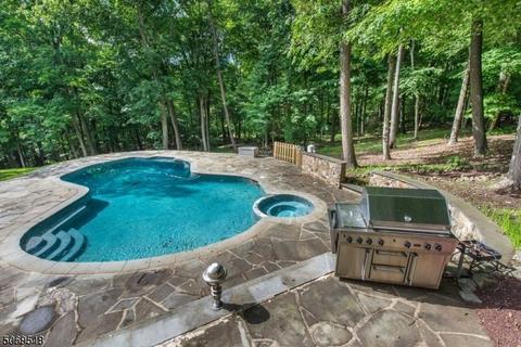 3 India Brook Dr, Mendham, NJ 07945 photo 10
