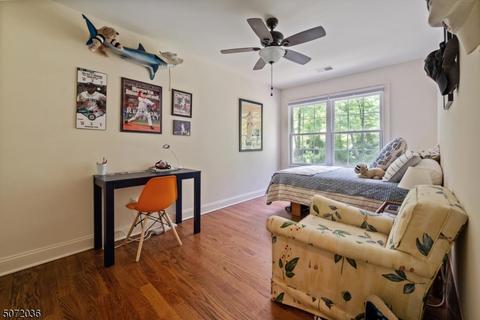 156 Spring Hill Rd, Skillman, NJ 08558 photo 11