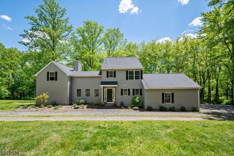 156 Spring Hill Rd, Skillman, NJ 08558 photo 1