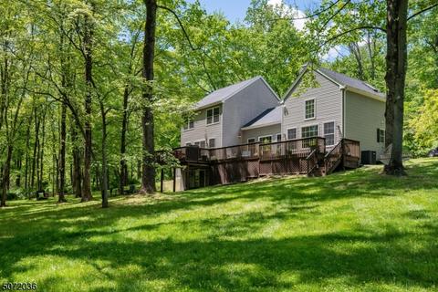 156 Spring Hill Rd, Skillman, NJ 08558 photo 17