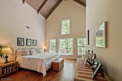 156 Spring Hill Rd, Skillman, NJ 08558 photo 8