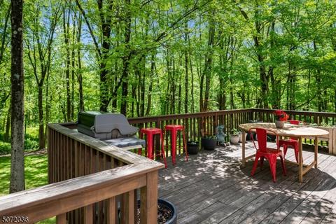 156 Spring Hill Rd, Skillman, NJ 08558 photo 16