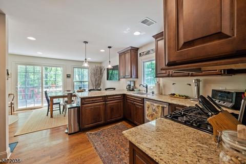 156 Spring Hill Rd, Skillman, NJ 08558 photo 6