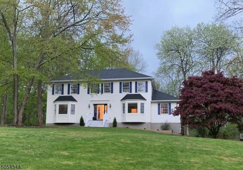 5 Dallarda Dr, Hackettstown, NJ 07840 photo 1