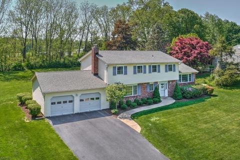 25 Franklin Rd, Mendham, NJ 07945 photo 21