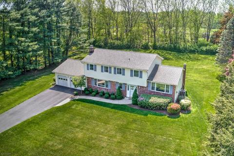 25 Franklin Rd, Mendham, NJ 07945 photo 20