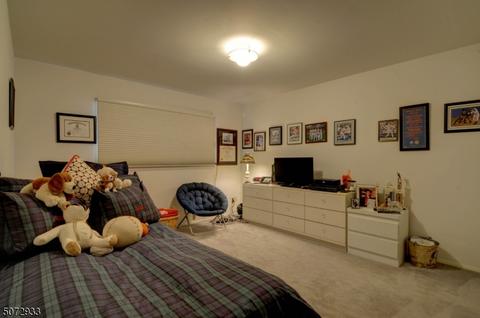 2 Cayuga Ct, Springfield, NJ 07081 photo 22
