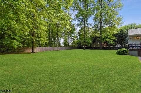 1001 Charles St, Mountainside, NJ 07092 photo 20