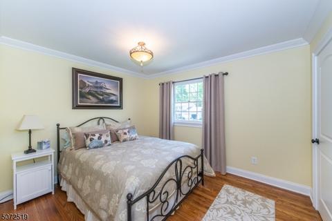 3 Veteri Pl, Wayne, NJ 07470 photo 18