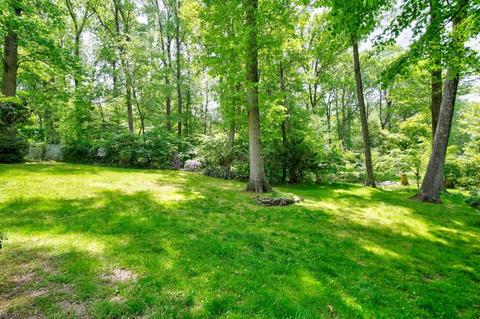 133 Division Ave, Summit, NJ 07901 photo 5