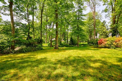 133 Division Ave, Summit, NJ 07901 photo 6