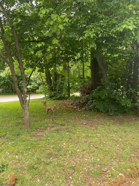 90 E Passaic Ave, Nutley, NJ 07110 photo 1
