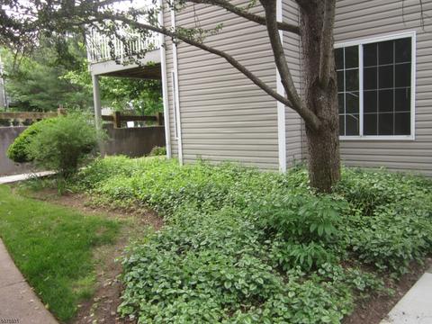 39 Ray Ct, Bedminster, NJ 07921 photo 6