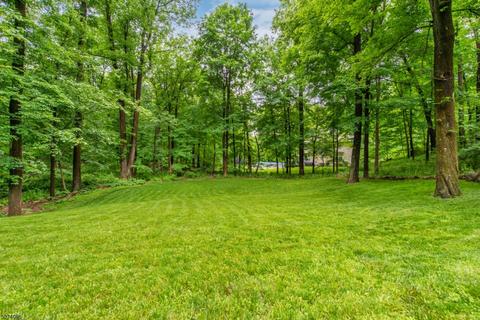 3 Michael Dr, Hackettstown, NJ 07840 photo 23