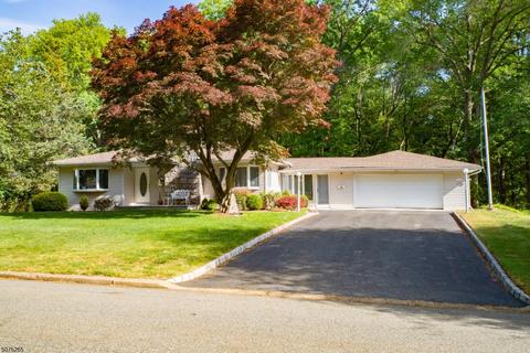 180 Laauwe Ave, Wayne, NJ 07470 photo 1