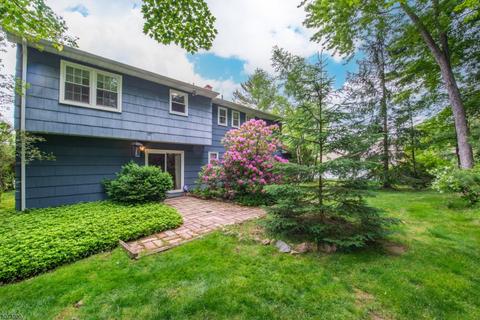 27 Jay St, Roxbury Twp., NJ 07876 photo 22