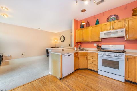31 Rolling Rapids Ct, Hackettstown, NJ 07840 photo 12
