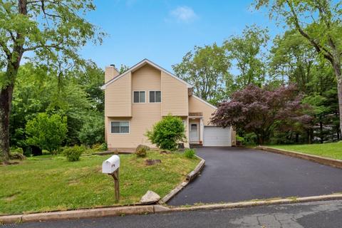 3 Mcintosh Ln, Hampton, NJ 08827 photo 1