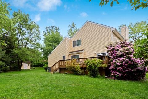 3 Mcintosh Ln, Hampton, NJ 08827 photo 4