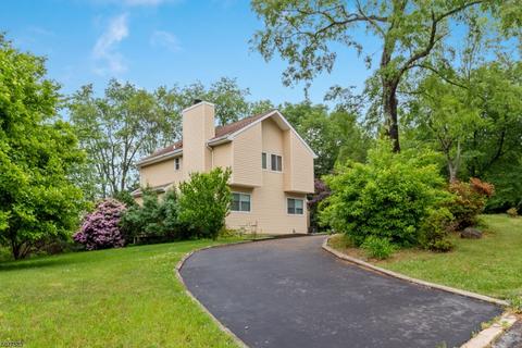 3 Mcintosh Ln, Hampton, NJ 08827 photo 3