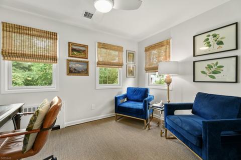 41 Webster Ave, Summit, NJ 07901 photo 12