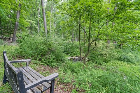 157 Mountainside Rd, Mendham, NJ 07945 photo 20