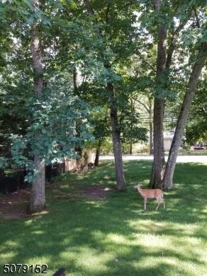 419 Ratzer Rd, Wayne, NJ 07470 photo 9