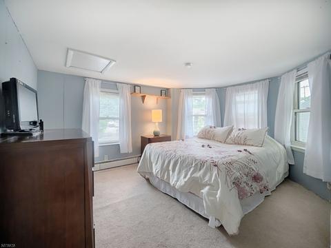153 Main St Vly, Hampton, NJ 08827 photo 16