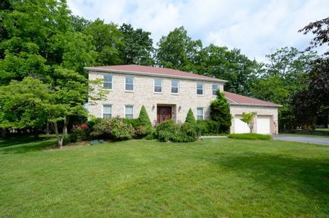 103 Timberline Dr, Wayne, NJ 07470 photo 1