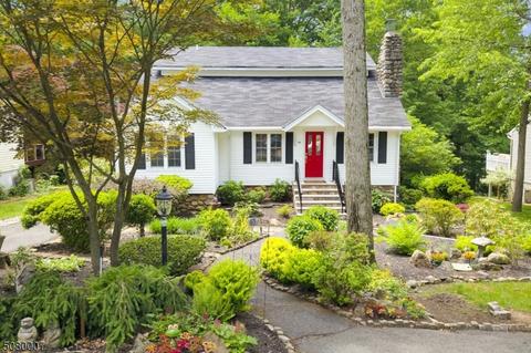 50 Beech Ter, Wayne, NJ 07470 photo 1