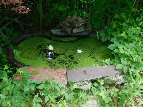 3 Central Ave, Stanhope, NJ 07874 photo 16