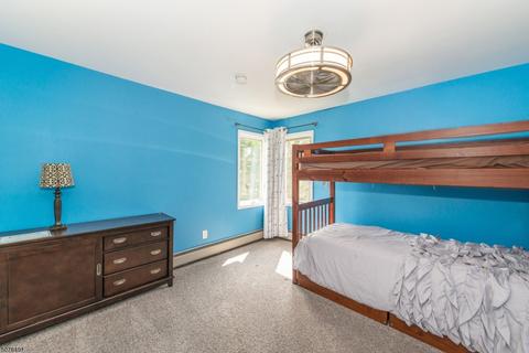 222 Webster Dr, Wayne, NJ 07470 photo 17