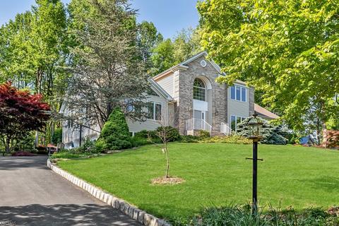 20 Rustic Ridge Rd, Randolph, NJ 07869 photo 1