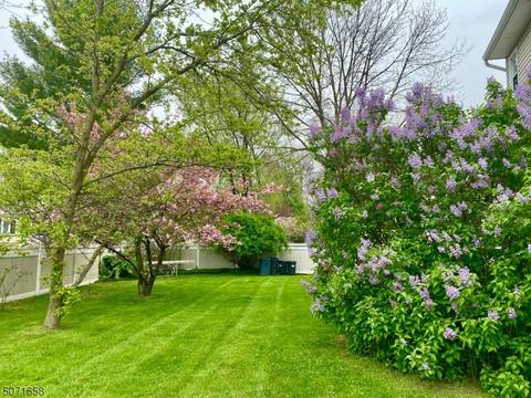 72 Fairmount Pl, Paramus, NJ 07652 photo 24