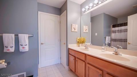 3 Castleton Ln, Flemington, NJ 08822 photo 22
