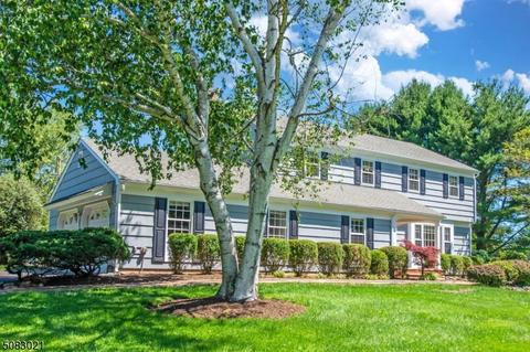 4 Pfizer Dr, Gladstone, NJ 07934 photo 1